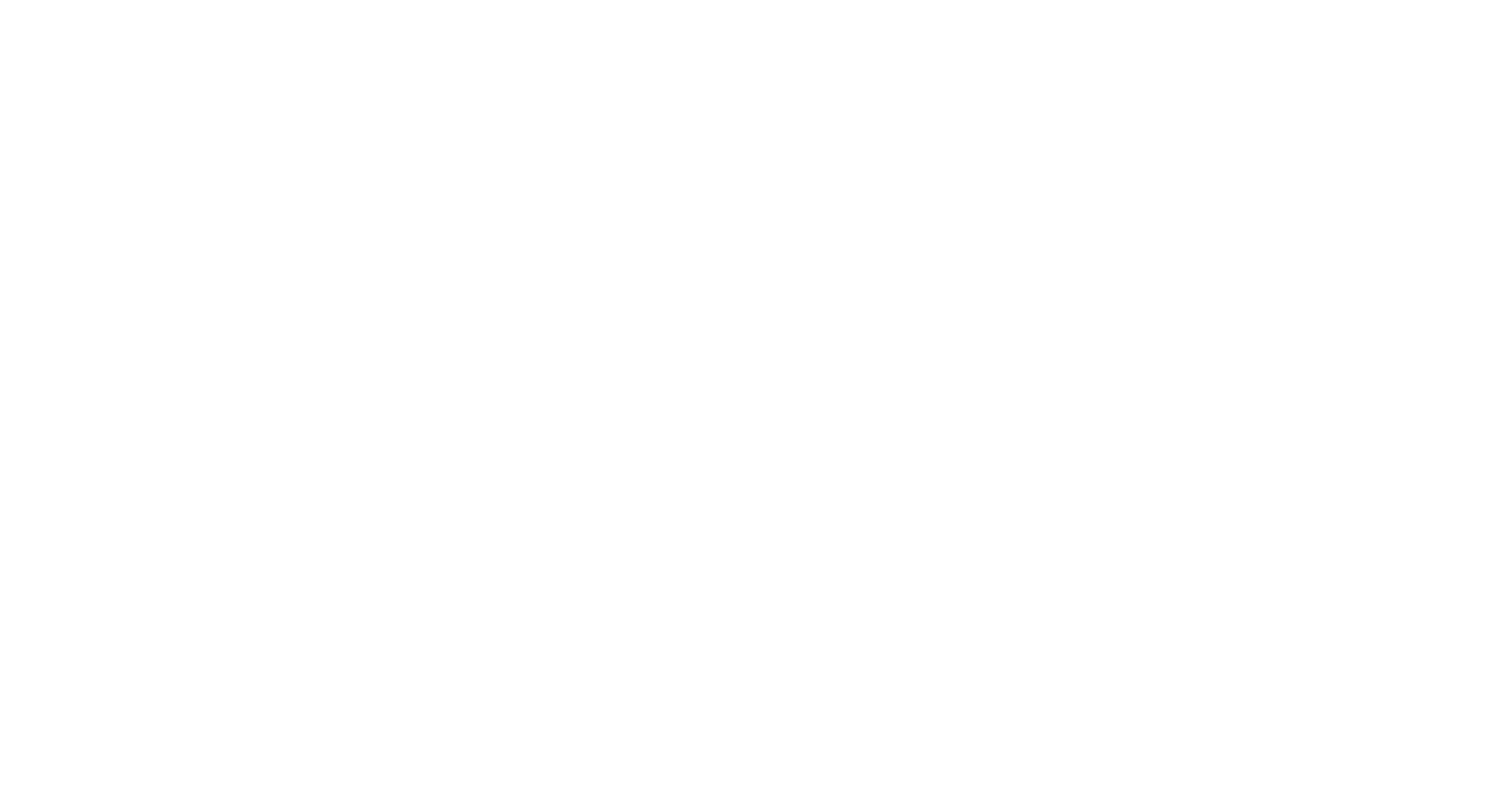 logo bianco